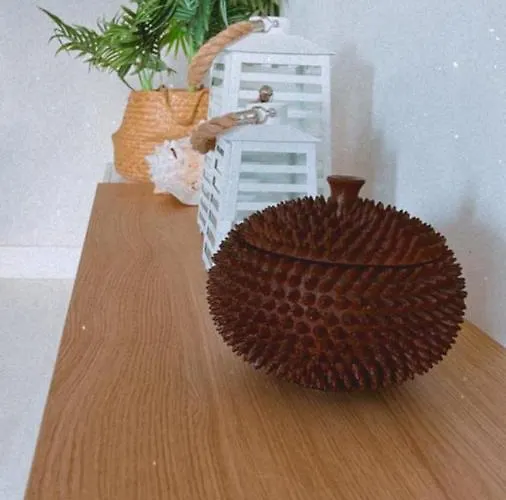 Saltwater Appartement