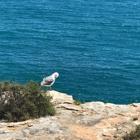 アパート Saltwater