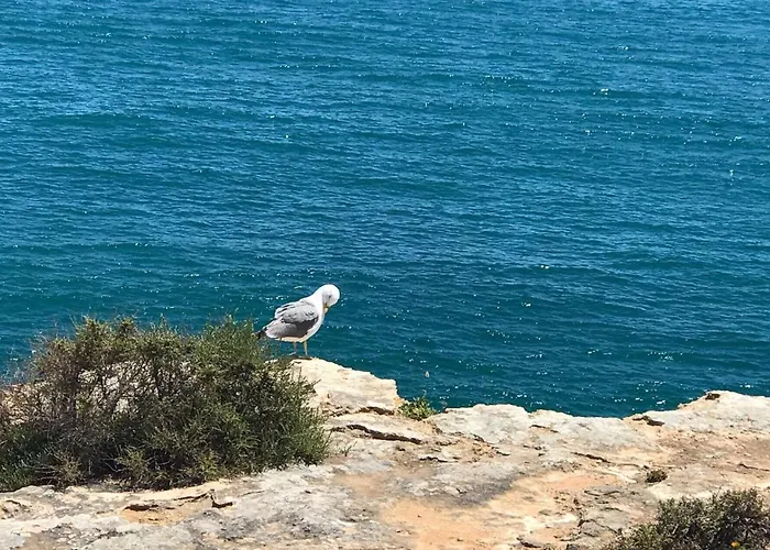 Apartament Saltwater