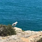 Appartement Saltwater